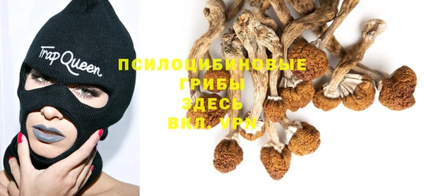 прущая мука Алзамай