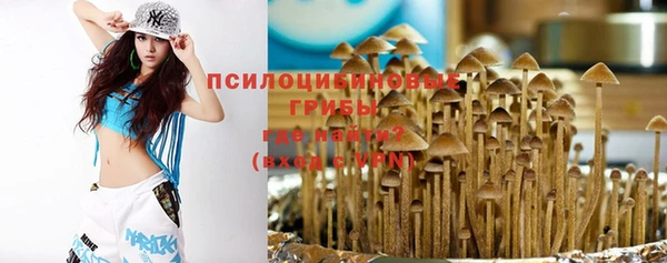 прущая мука Алзамай