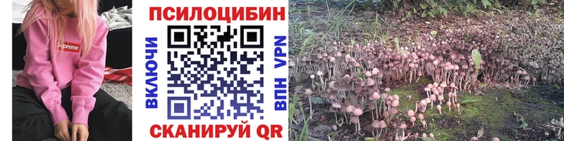 Псилоцибиновые грибы Psilocybe  Харовск 