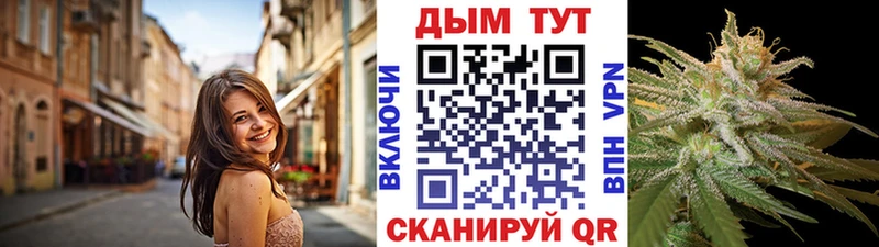 где найти наркотики  Харовск  Шишки марихуана план 